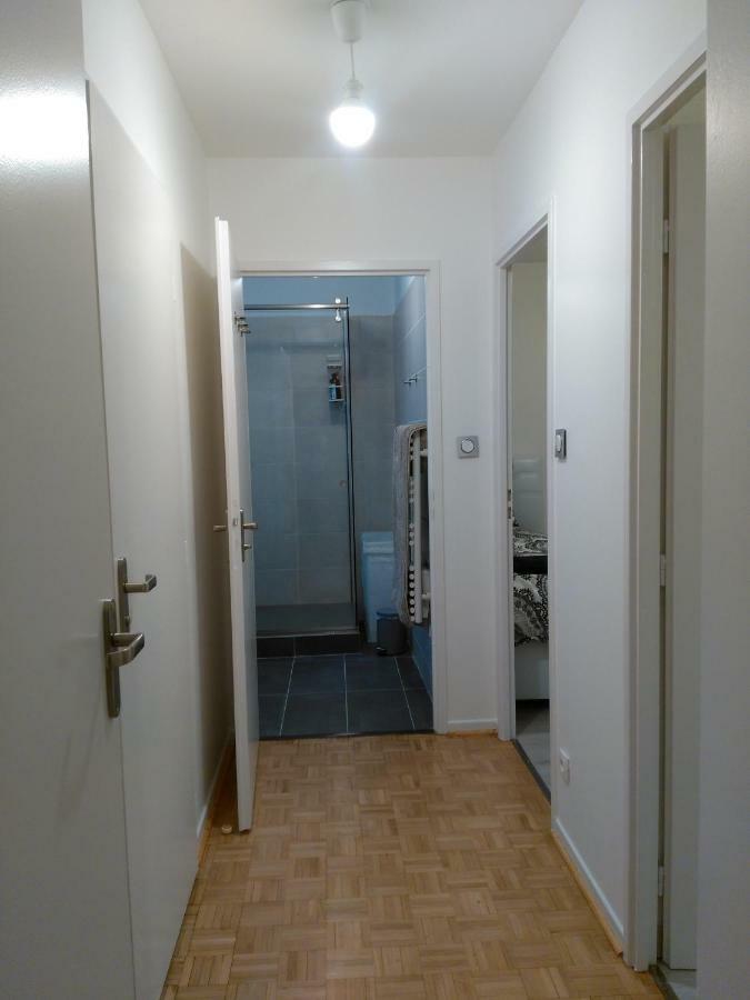 ליון Bel Et Spacieux Appartement De 84 M² Avec Parking Tres Proche Du Metro Garibaldi מראה חיצוני תמונה